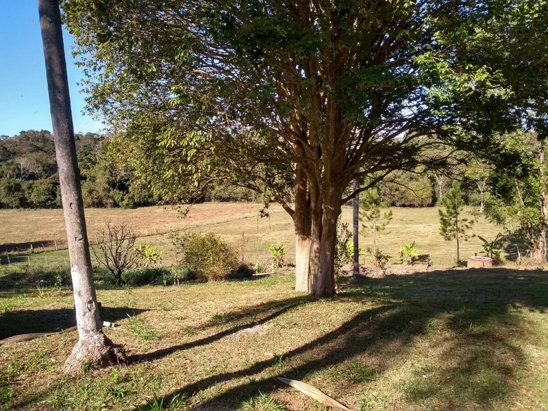 Sitio em Guarei: 13ª foto da galeria de imagens do imóvel