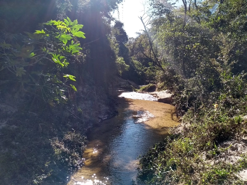 Sitio em Guarei: 22ª foto da galeria de imagens do imóvel