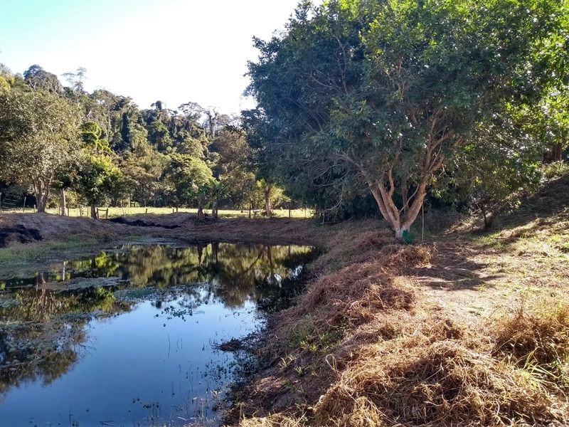 Sitio em Guarei: 14ª foto da galeria de imagens do imóvel