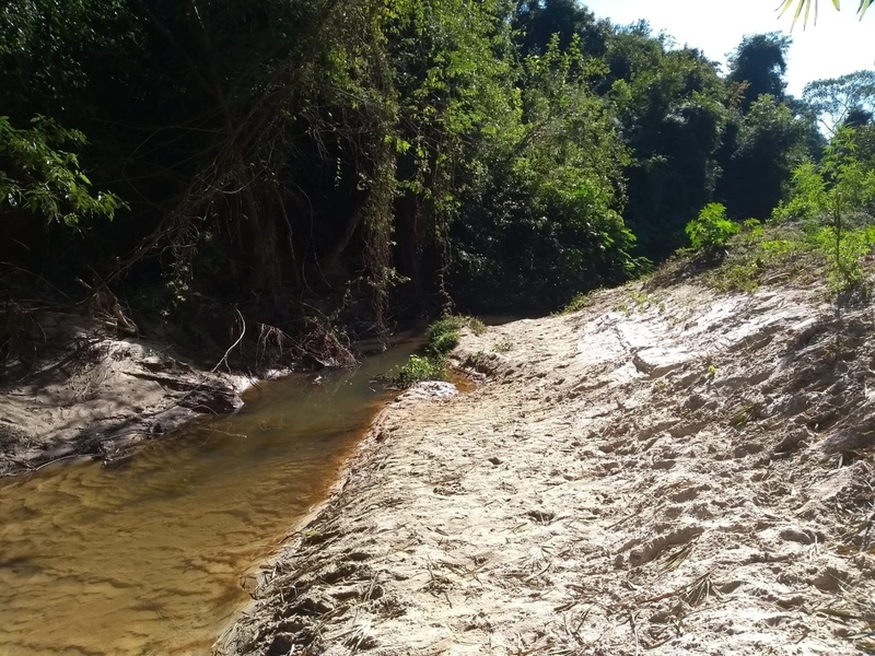 Sitio em Guarei: 18ª foto da galeria de imagens do imóvel