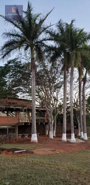 Excelente sítio a 3 Km do centro de Cesário Lange: 26ª foto da galeria de imagens do imóvel