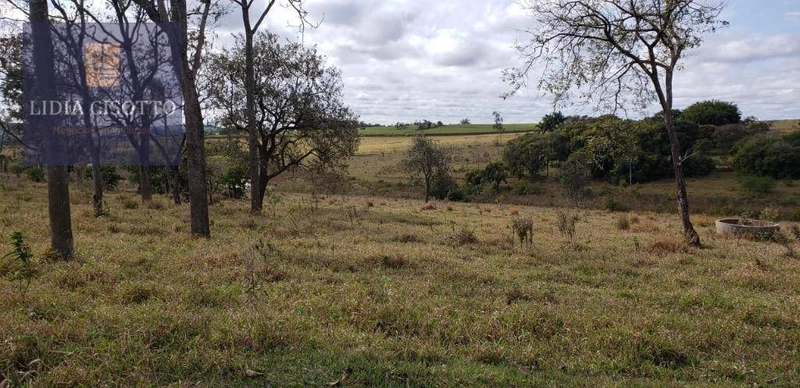 Excelente sítio a 3 Km do centro de Cesário Lange: 13ª foto da galeria de imagens do imóvel