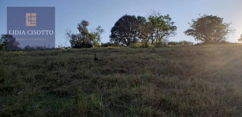 Excelente sítio a 3 Km do centro de Cesário Lange: 16ª foto da galeria de imagens do imóvel