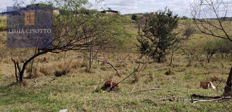 Excelente sítio a 3 Km do centro de Cesário Lange: 4ª foto da galeria de imagens do imóvel