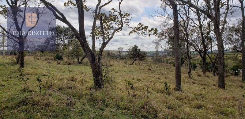 Excelente sítio a 3 Km do centro de Cesário Lange: 11ª foto da galeria de imagens do imóvel