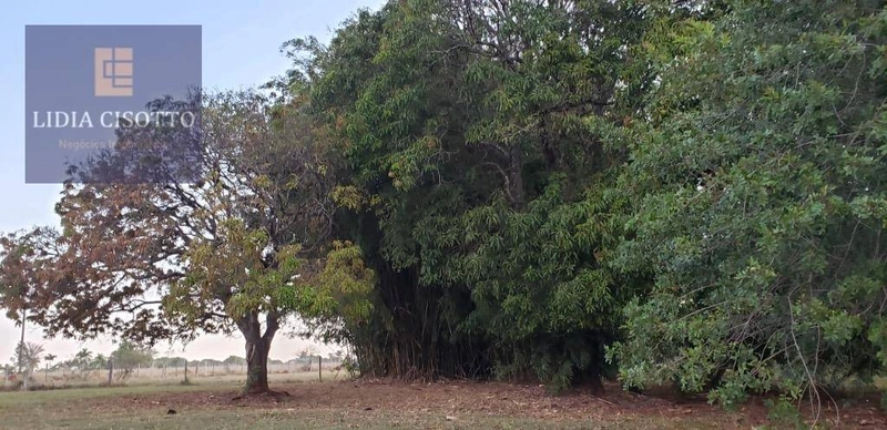 Excelente sítio a 3 Km do centro de Cesário Lange: 29ª foto da galeria de imagens do imóvel