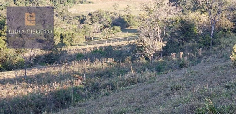 Excelente sítio a 3 Km do centro de Cesário Lange: 21ª foto da galeria de imagens do imóvel