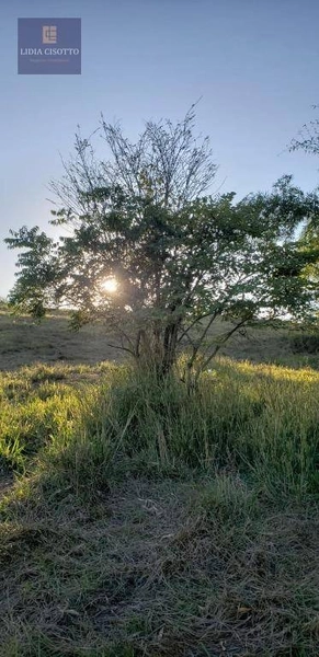 Excelente sítio a 3 Km do centro de Cesário Lange: 25ª foto da galeria de imagens do imóvel