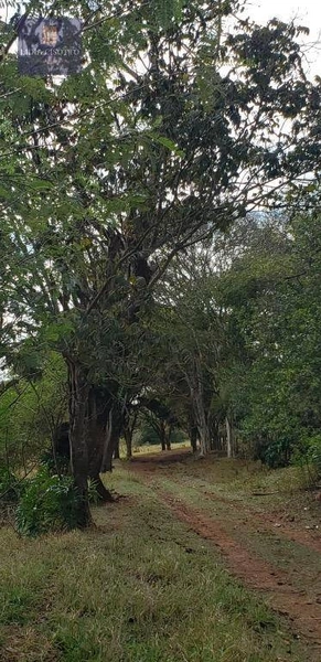 Excelente sítio a 3 Km do centro de Cesário Lange: 3ª foto da galeria de imagens do imóvel