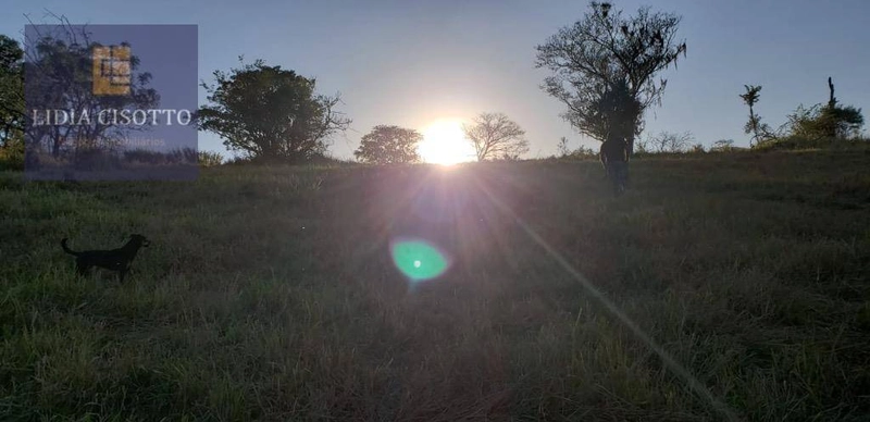 Excelente sítio a 3 Km do centro de Cesário Lange: 14ª foto da galeria de imagens do imóvel