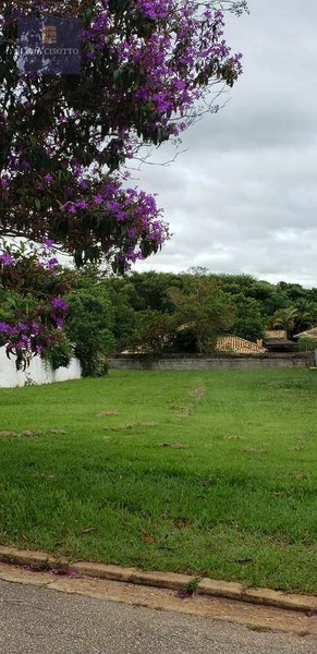 Excelente oportunidade na Colina das Estrelas: 2ª foto da galeria de imagens do imóvel