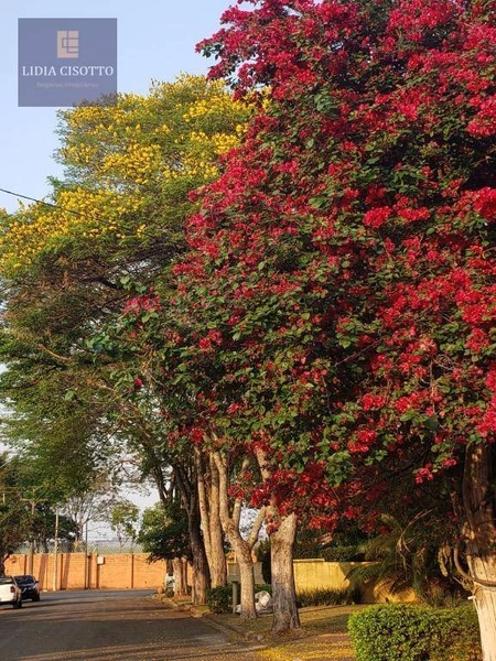 Excelente oportunidade na Colina das Estrelas: 6ª foto da galeria de imagens do imóvel