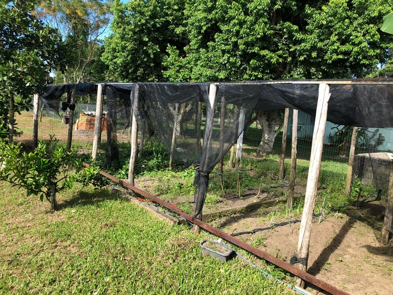 Sitio no Palmital.: 30ª foto da galeria de imagens do imóvel