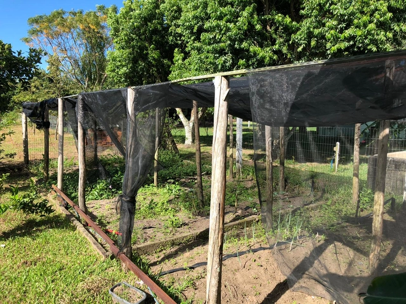 Sitio no Palmital.: 43ª foto da galeria de imagens do imóvel
