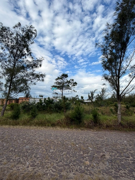 TERRENO EM REGIÃO DE MORADORES: 1ª foto da galeria de imagens do imóvel