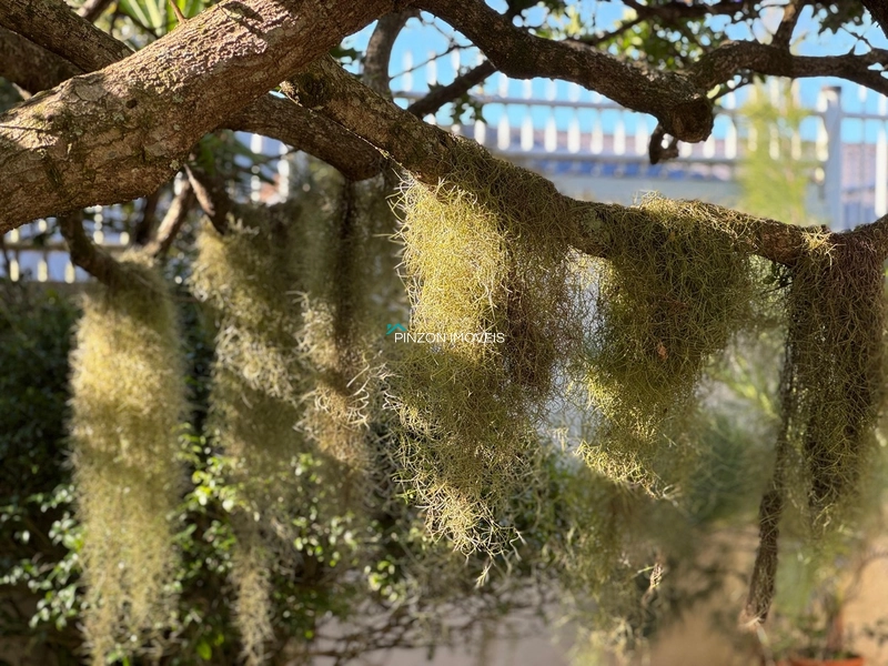 PROPRIEDADE COM 2 TERRENOS A UMA QUADRA DO MAR: 58ª foto da galeria de imagens do imóvel