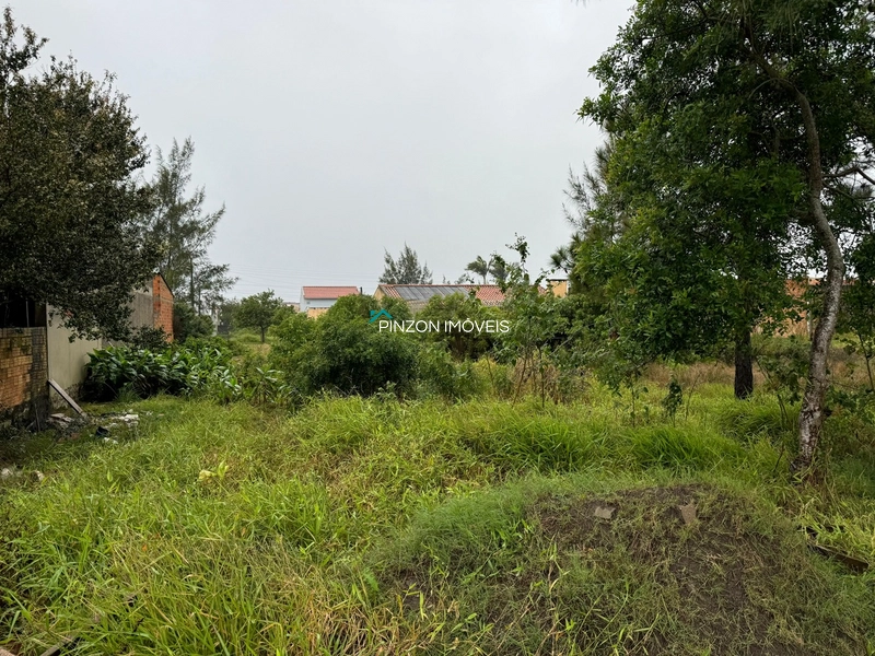 Terreno em região de moradores.: 3ª foto da galeria de imagens do imóvel