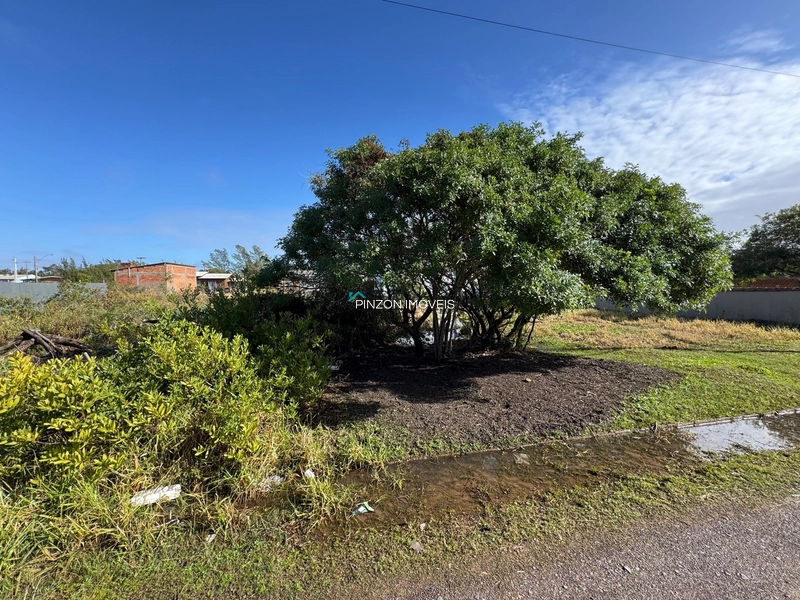 TERRENO EM REGIÃO DE MORADORES: 3ª foto da galeria de imagens do imóvel