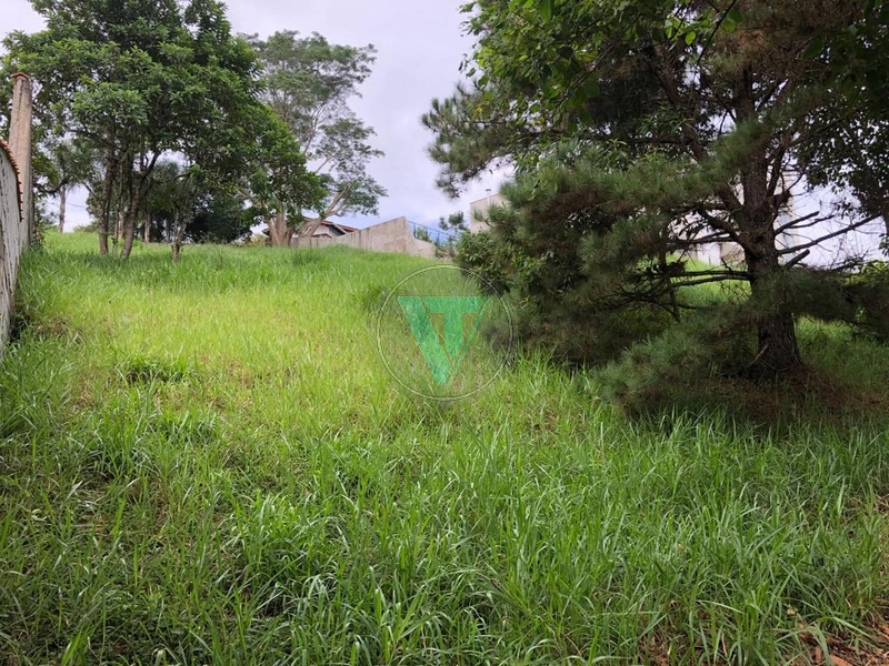 TERRENO À VENDA, CONDOMÍNIO IBIRAPITANGA em SANTA ISABEL SP.: 2ª foto da galeria de imagens do imóvel