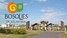 Bosques de Atlântida