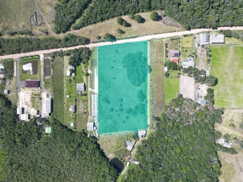 CHÁCARA FAXINA / RS-407: 12ª foto da galeria de imagens do imóvel