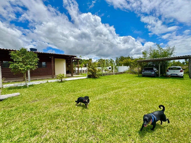 SITIO NA FAXINA (PRÓX. RS407): 17ª foto da galeria de imagens do imóvel
