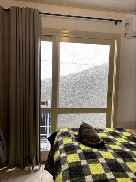 CASA EM CAPÃO NOVO - 3 DORMITÓRIOS: 8ª foto da galeria de imagens do imóvel