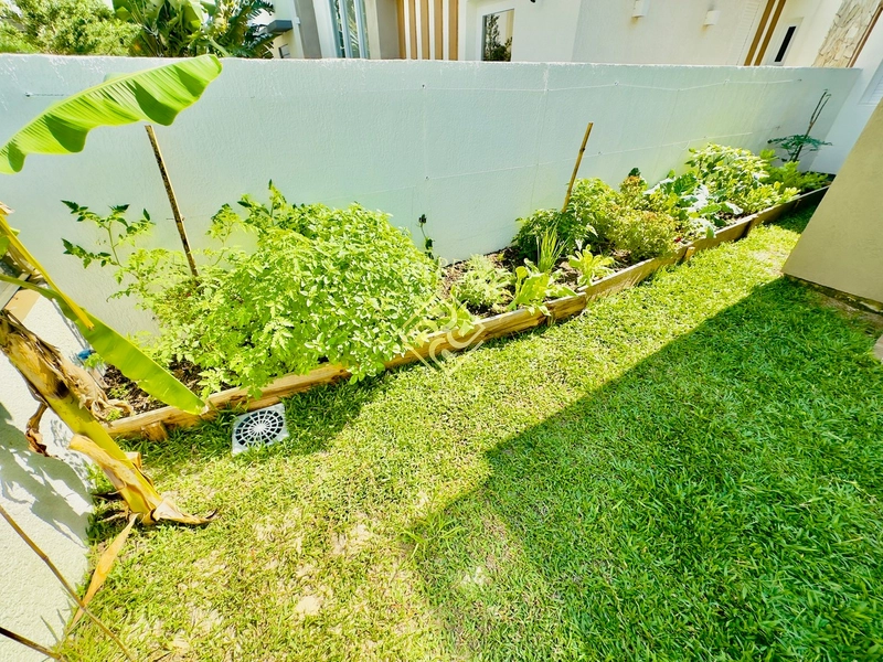 SOBRADO NOVO NO BLUE: 8ª foto da galeria de imagens do imóvel