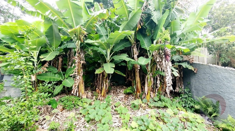 Casa na Agronômica com 4 dormitórios 1 suíte e 8 vagas - 162 m²: 19ª foto da galeria de imagens do imóvel