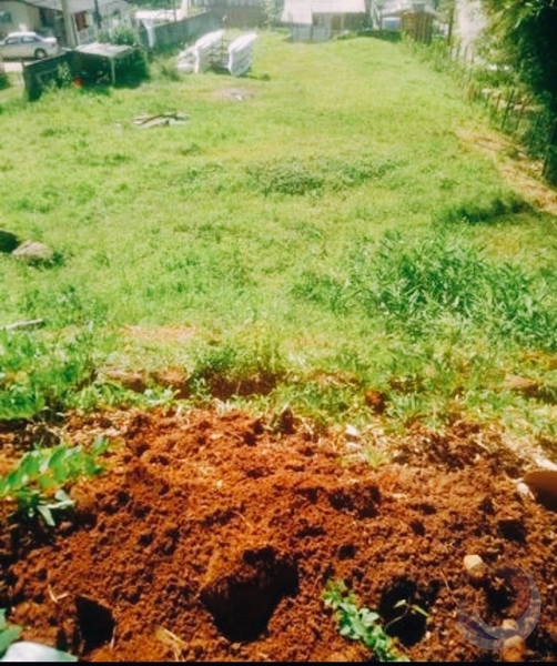 Terreno a venda em Jurere com 1.086 m² de área: 9ª foto da galeria de imagens do imóvel