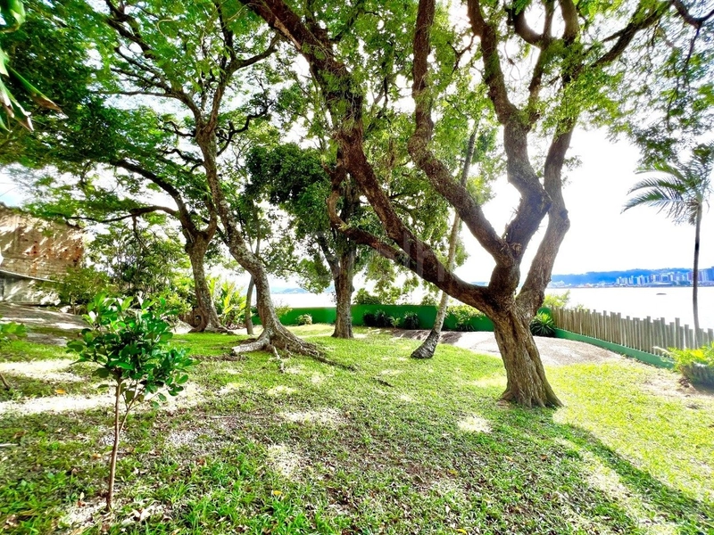 Apartamento a  venda no Bom Abrigo com 2 dormitórios e 1  vaga: 29ª foto da galeria de imagens do imóvel