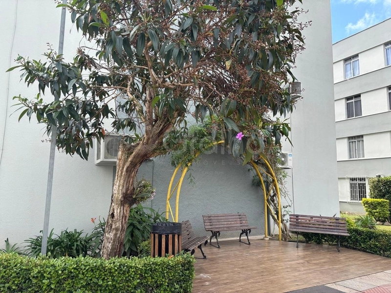 Apartamento na Trindade com 2 dormitórios 1 Vaga rotativa - 52m²: 22ª foto da galeria de imagens do imóvel