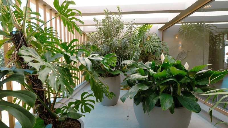 Casa no Cacupé em condomínio fechado com 5 suítes e 4 vagas - 1.018m²: 29ª foto da galeria de imagens do imóvel