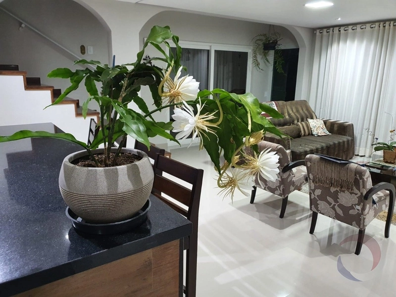 Casa à venda no Bom Abrigo com 5 quartos sendo 2 suítes e 4 vagas: 2ª foto da galeria de imagens do imóvel