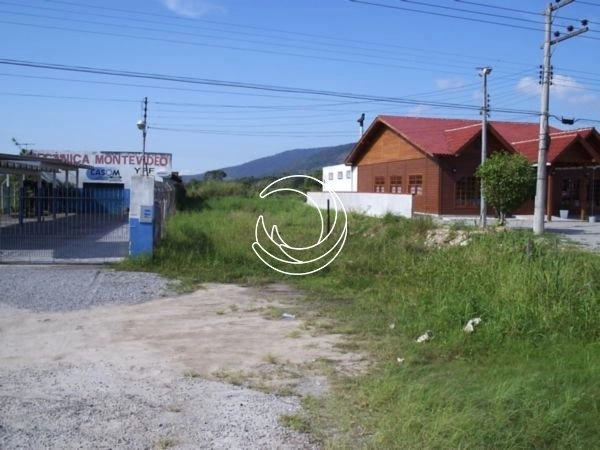 Terreno em Canavieiras com viabilidade comercial e residencial: 3ª foto da galeria de imagens do imóvel