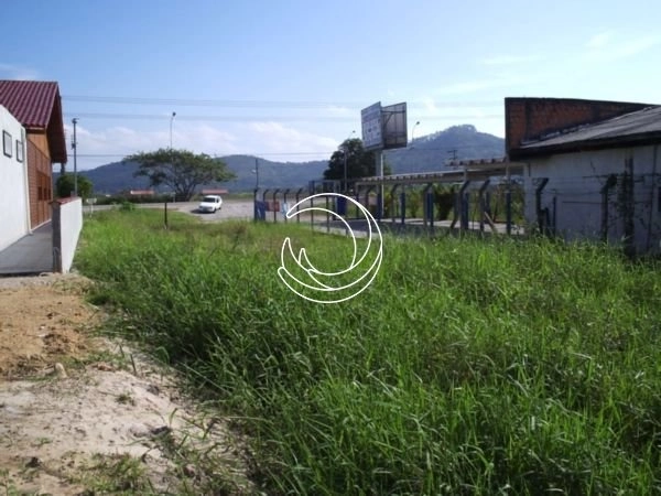 Terreno em Canavieiras com viabilidade comercial e residencial: 1ª foto da galeria de imagens do imóvel