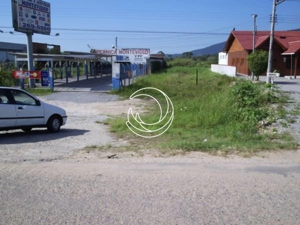 Terreno em Canavieiras com viabilidade comercial e residencial: 4ª foto da galeria de imagens do imóvel