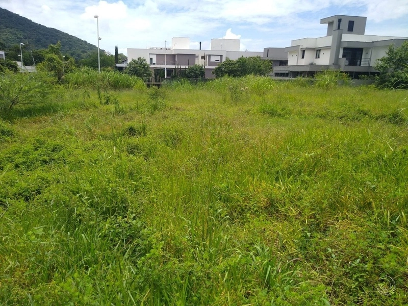 Excelente terreno à venda na Lagoa da Conceição com 425m²: 10ª foto da galeria de imagens do imóvel