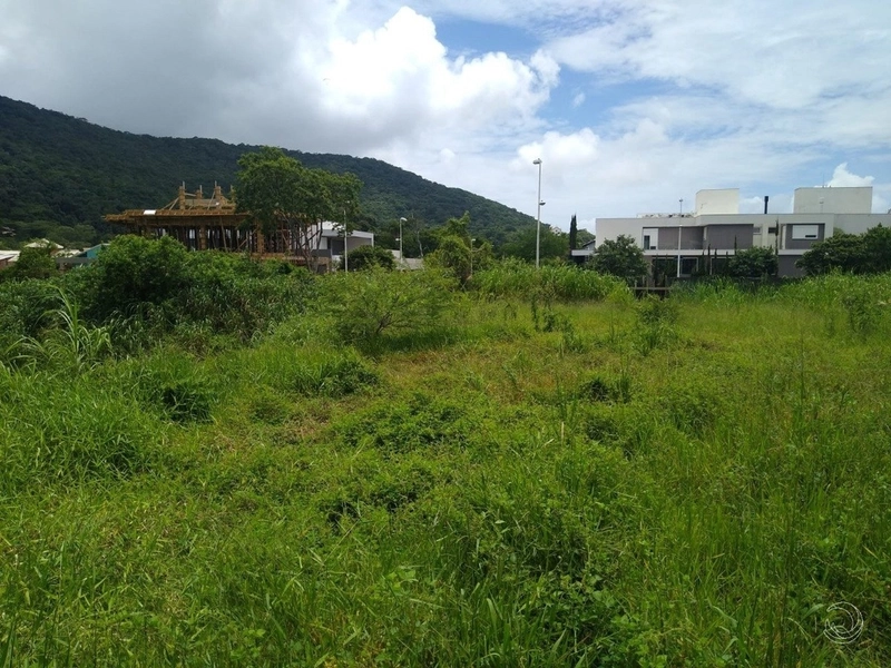 Excelente terreno à venda na Lagoa da Conceição com 425m²: 12ª foto da galeria de imagens do imóvel