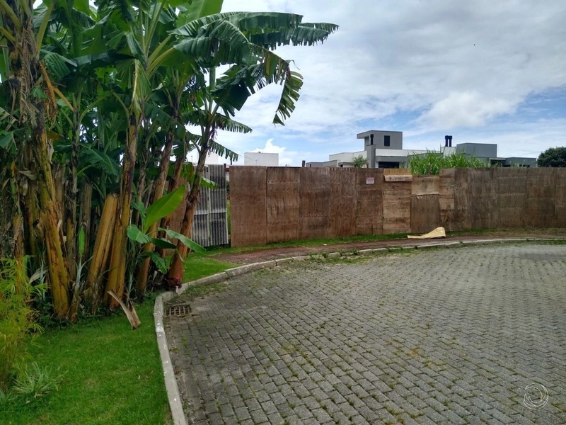 Excelente terreno à venda na Lagoa da Conceição com 425m²: 7ª foto da galeria de imagens do imóvel