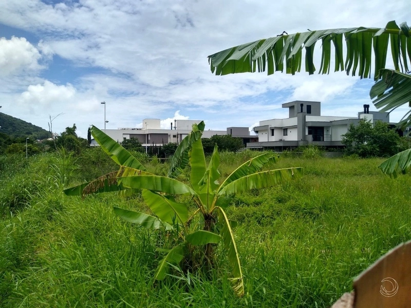 Excelente terreno à venda na Lagoa da Conceição com 425m²: 13ª foto da galeria de imagens do imóvel