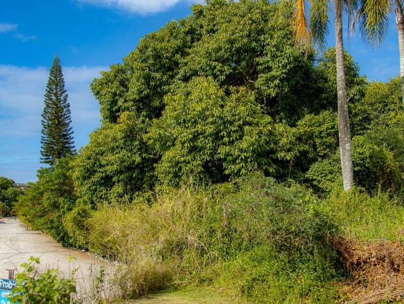 Terreno na Lagoa da Conceição muito bem localizado com 4.129 m²: 2ª foto da galeria de imagens do imóvel