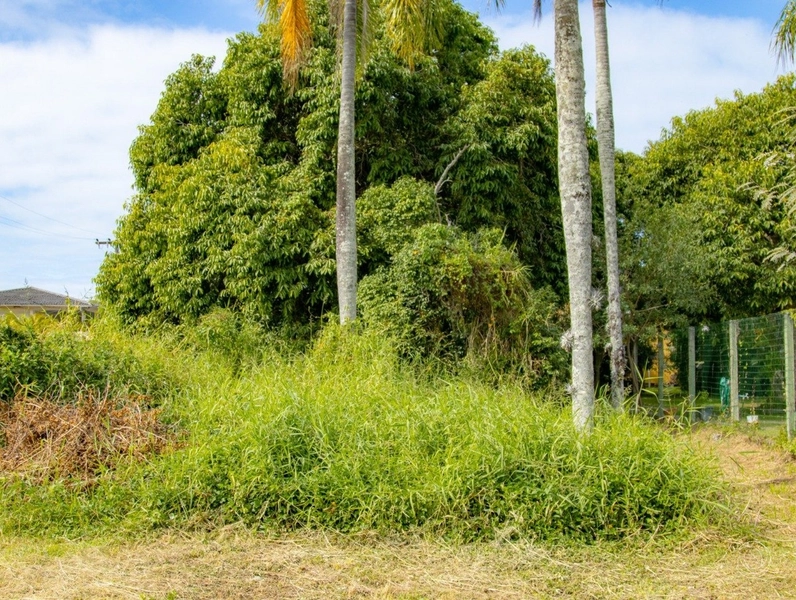 Terreno na Lagoa da Conceição muito bem localizado com 4.129 m²: 7ª foto da galeria de imagens do imóvel
