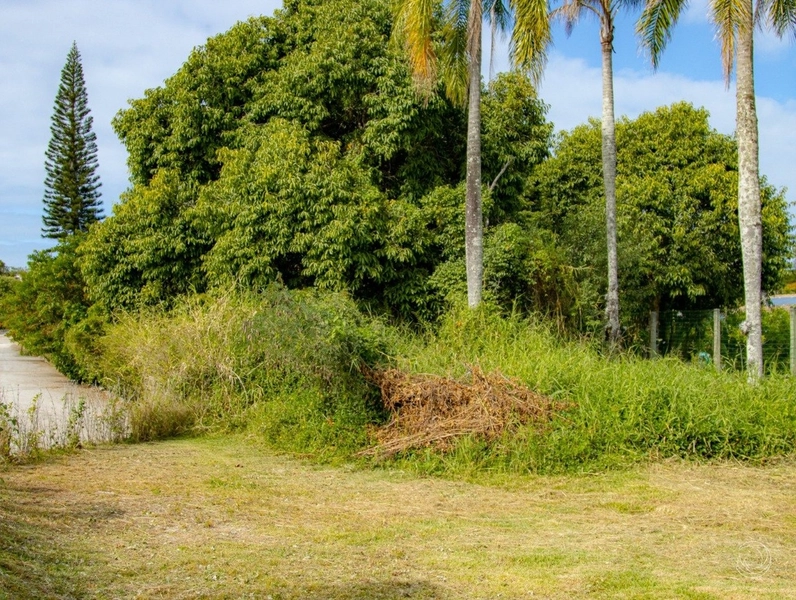 Terreno na Lagoa da Conceição muito bem localizado com 4.129 m²: 8ª foto da galeria de imagens do imóvel