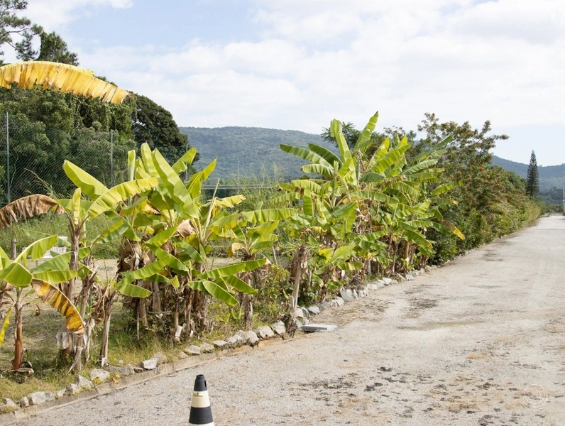 Terreno na Lagoa da Conceição muito bem localizado com 4.129 m²: 20ª foto da galeria de imagens do imóvel