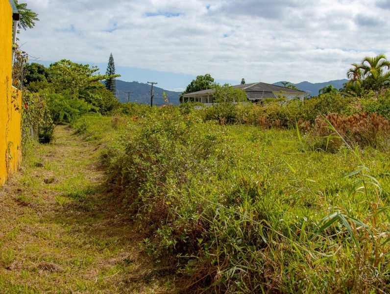 Terreno na Lagoa da Conceição muito bem localizado com 4.129 m²: 3ª foto da galeria de imagens do imóvel