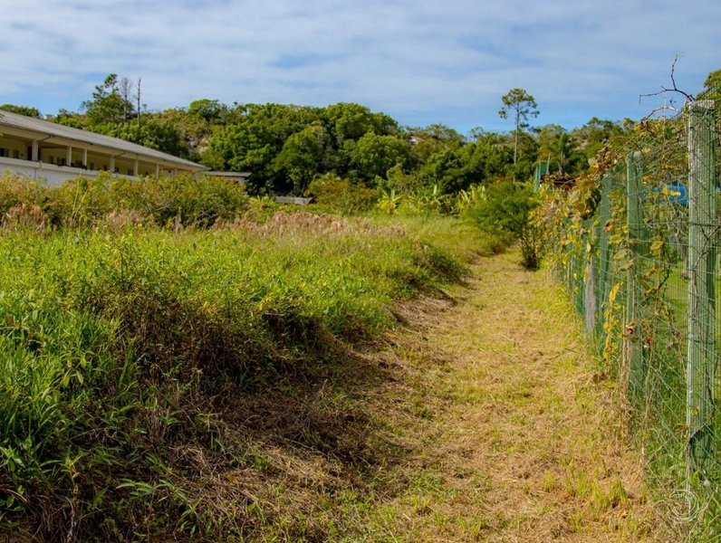 Terreno na Lagoa da Conceição muito bem localizado com 4.129 m²: 1ª foto da galeria de imagens do imóvel