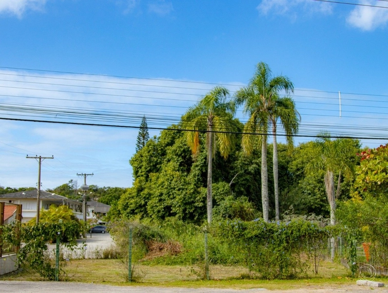 Terreno na Lagoa da Conceição muito bem localizado com 4.129 m²: 19ª foto da galeria de imagens do imóvel