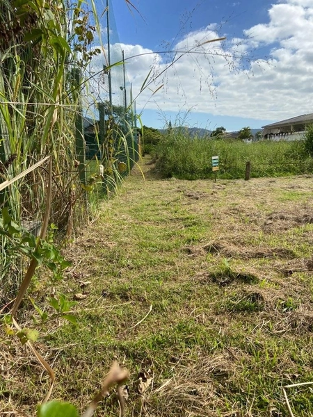 Terreno na Lagoa da Conceição muito bem localizado com 4.129 m²: 9ª foto da galeria de imagens do imóvel