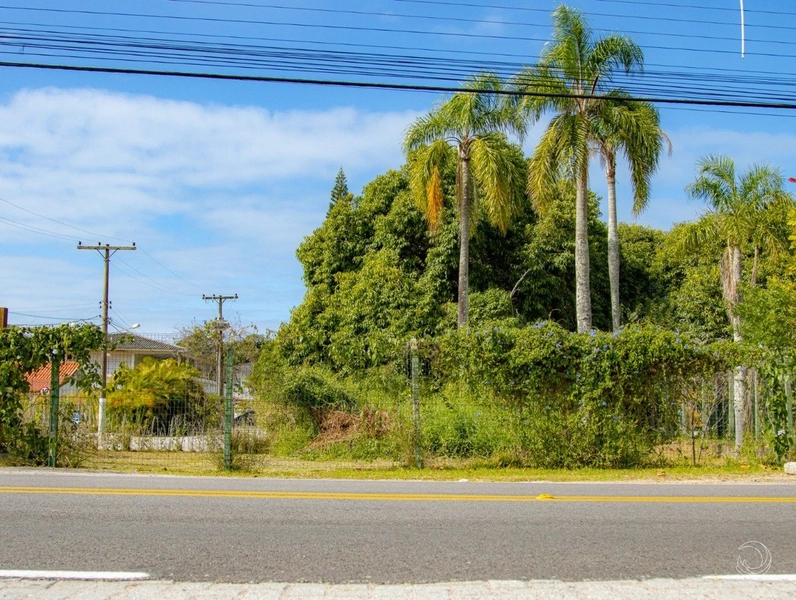 Terreno na Lagoa da Conceição muito bem localizado com 4.129 m²: 5ª foto da galeria de imagens do imóvel